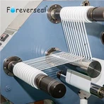 Fabricante de filme de PTFE